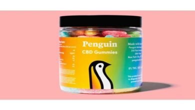 CBD Gummies for Erectile Dysfunction