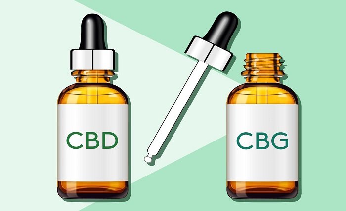 what is cbg vs cbd