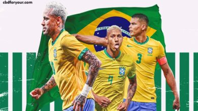 brazil national football team standings