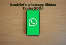 iStudyInfo WhatsApp Tracking