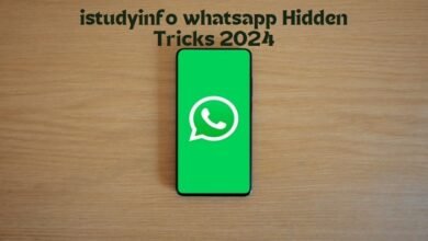 iStudyInfo WhatsApp Tracking