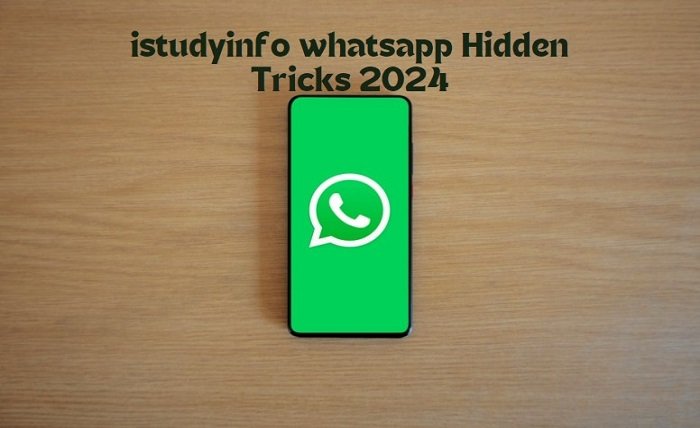 iStudyInfo WhatsApp Tracking