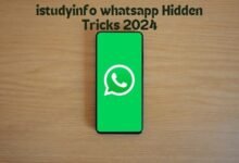 istudyinfo whatsapp tracking