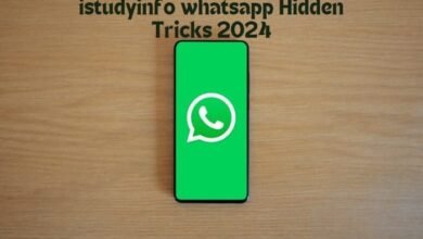 istudyinfo whatsapp tracking