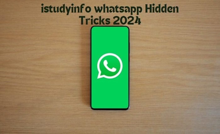 istudyinfo whatsapp tracking