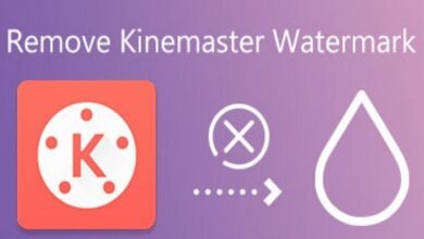 kine master app without watermark