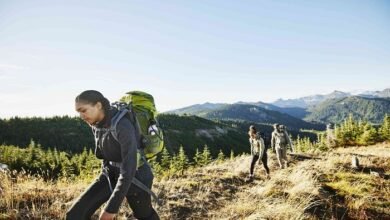 how much does bluefire wilderness therapy cost